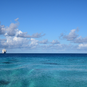 李纯裸体视频网站
